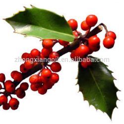 Natural Wintergreen Oil OEM ODM علامة خاصة