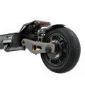 10 -дюймовый 2 колеса Offroad Electric Scooter