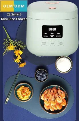 2L Single Person Electric Rice Cooker - Mini Kitchen Appliance for Baby and Small Portions