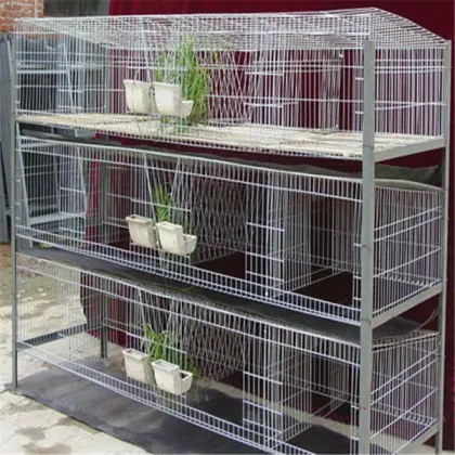 Alibaba Gold Supplier chicken cage/chicken farm/chicken cage for sale for all world