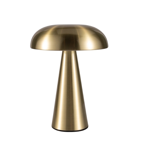 T240958 Metal base touch dimming rechaegeable table lamp (12)