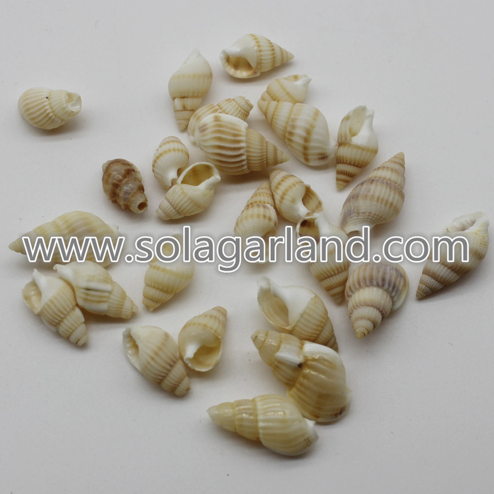 Natural Cowry Shell Beads