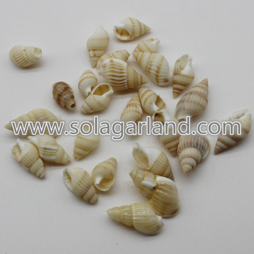 13-23MM Natural Cowry Shell Beads For Wedding Decoration