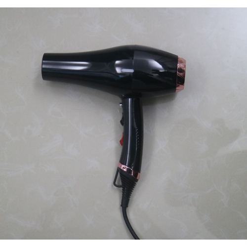 Professional Ionic Electric Hairdryers AC Motor Hair Dryer