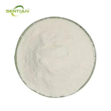 Premium Wheat Protein Isolate from Natural Plant Sources