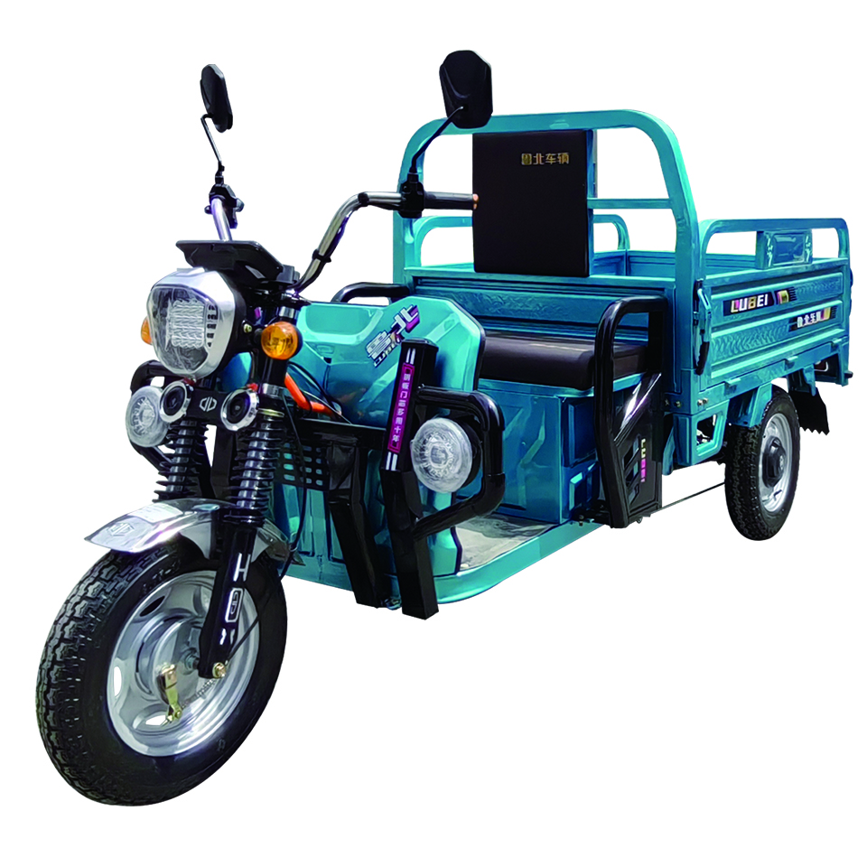 Electric cargo tricycle 1000w