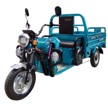 Electric cargo tricycle 1000w