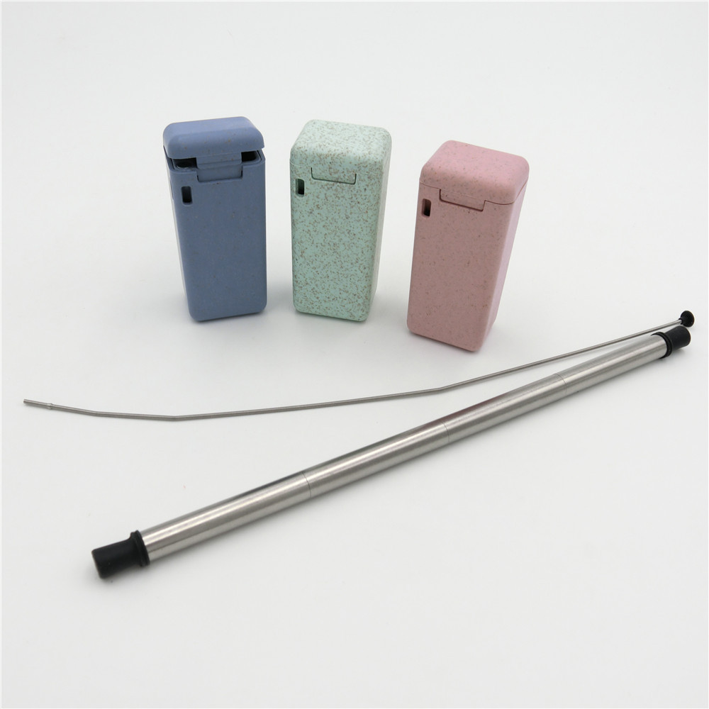 reusable silicone straw keychain