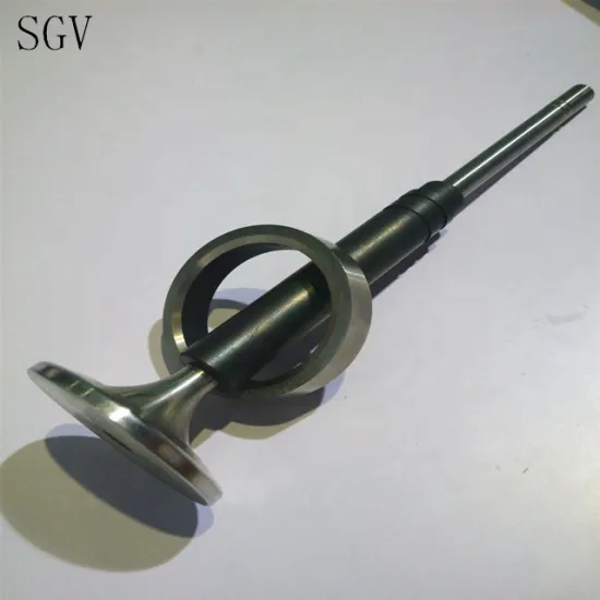 Engine Valves Factory for Auto Engines