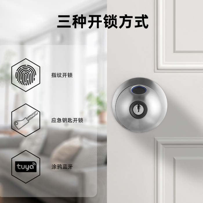 Внутренняя дверная ручка из нержавеющей стали с отпечатками пальцев и ключевым замком