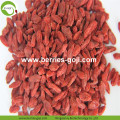 Factory Supply Fruits Premium-Händler Goji Berry