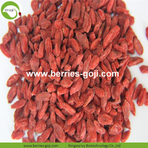 Factory Supply Fruits Premium Distributor Goji Berry