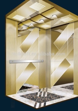Indoor cheap hight quality small home elevator