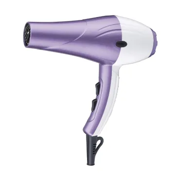 High-Power Salon Hair Dryer