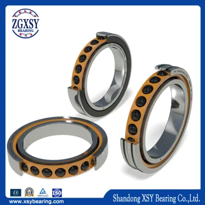 SKF FAG NTN Koyo NSK Hrb Timken Angular Ball Bearing