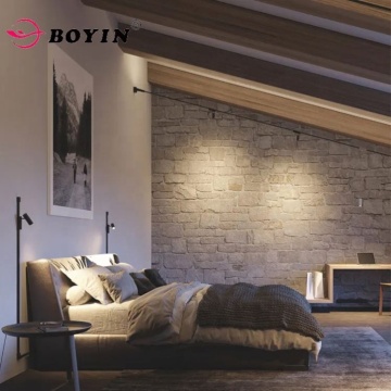 Dimmable LED Track Light Adjustable Surface Art Gallery Licht 4W 5W 8W 10W 12W 16W" 

(Note: "Licht" is German for "light", added to cater to a broader, possibly multilingual audience) 

However, if you prefer an English title:

"Dimmable Adjustable Surfa