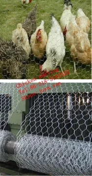 Chicken netting