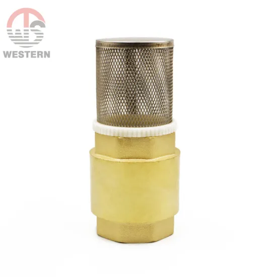 good price S.S Spring Vertical Stainless Steel Filter Strainer Check valves water pump brass foot valve for water pump