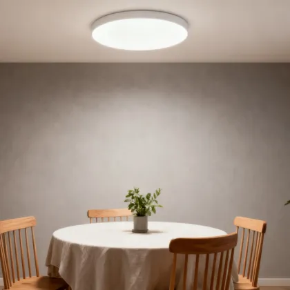 Indoor clarity ceiling lighting