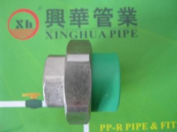 Pprc Female Adaptor Union Fittings And Tube Plumbing Material 
