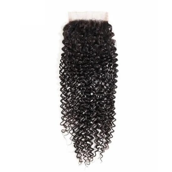 Sunlight Bundles Afro Brazilian Cuticle Aligned Virgin Extension Lace Front Closure Human Hair Wig Kinky Curly