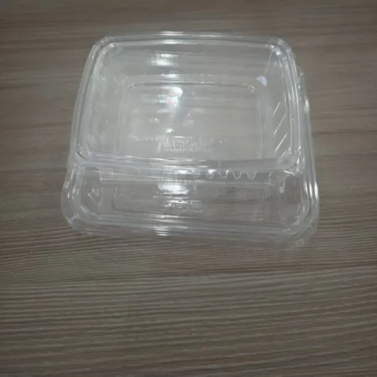 PET Food Fruit Storage Packaging Deli Container