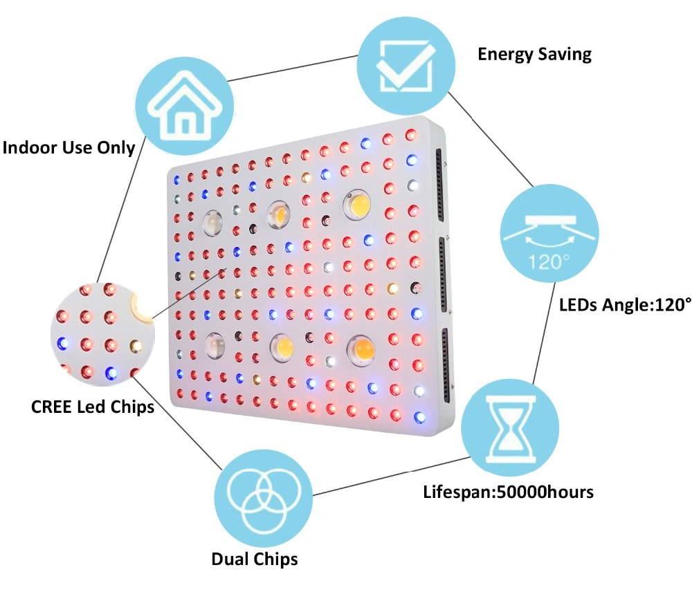 Phlizon LED 3000W COB LED Light China Manufacturers Suppliers