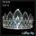 Silver Rhinestone Flower Princess Bridal Tiara Crown