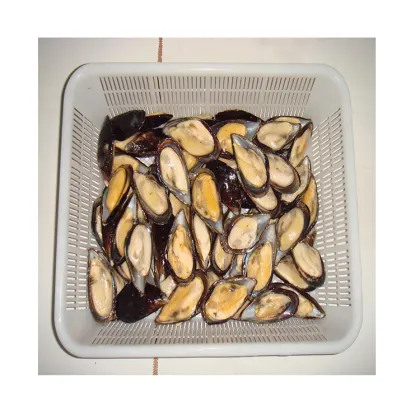 Fresh Frozen Mussel Meat Shellfish Detail Half Shell Mussel Frozen Shellfish