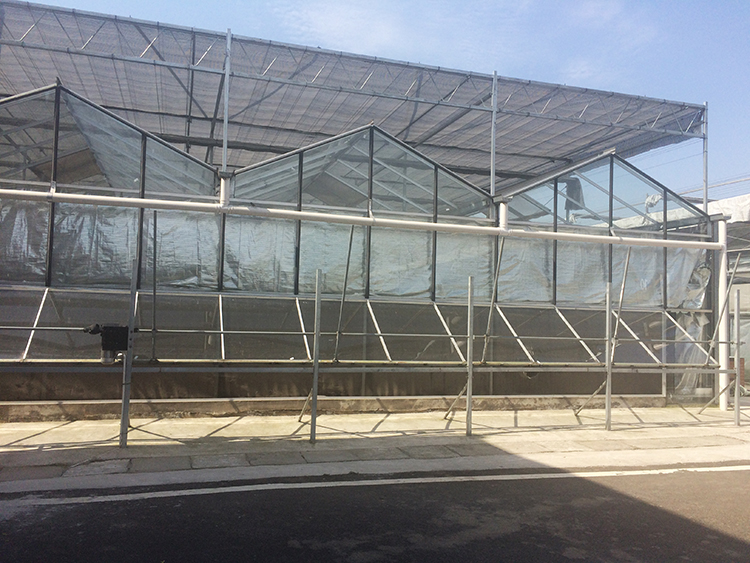 Glass Greenhouse Gardening