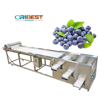 Factory Supply Blueberry Grader Sorter Grading Machine for Fruit Industry