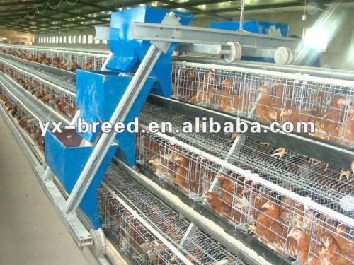 Auto Chicken Cage Poultry Farm Machinery Systerm, High Quality Auto ...