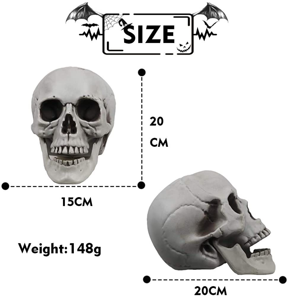 Skelettschädel für Halloween -Dekor