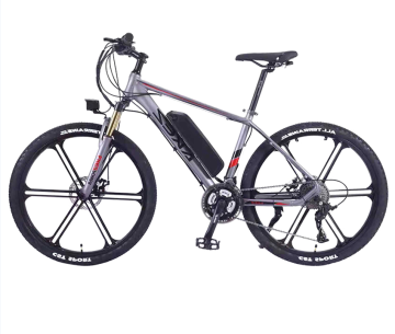 PEGASUS di alta qualità 36V Linkall Swytch Ebike Accessori per la guida di montagna e città