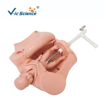 Advance Childbirth Skill Training Model