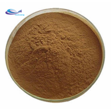 Hot sale burdock root extract