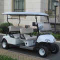 chariots de golf pour voitures à vendre à bas prix