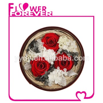 Best Selling Natural Preserved Flower