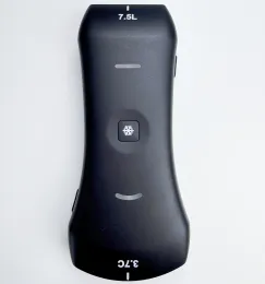 Dual-Head Palm Ultrasound for Portable Medical Use