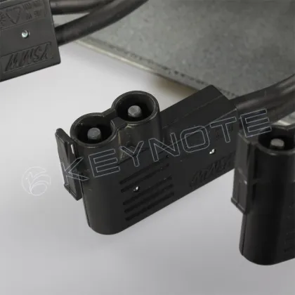 BMG 980 06/1 R2B RBS2206 IDM-01