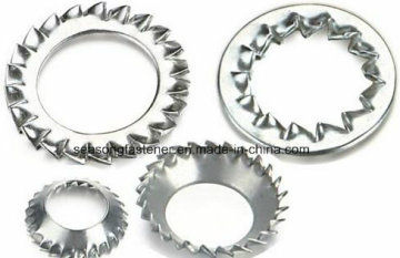 Serrated Lock Washer / Stainless Steel Washer (DIN6798)