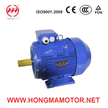 3hm Electric AC Asynchronous Induction Motor