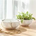 9 Inch Ceramic Hanging Planter