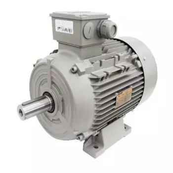 Waterproof CE Certified Safe & Durable Three-Phase Induction Motor for Elevator Use, Available for Sale