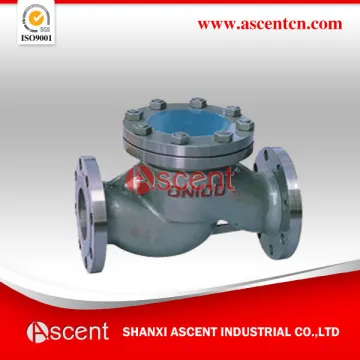 Flange Lift Check Valve