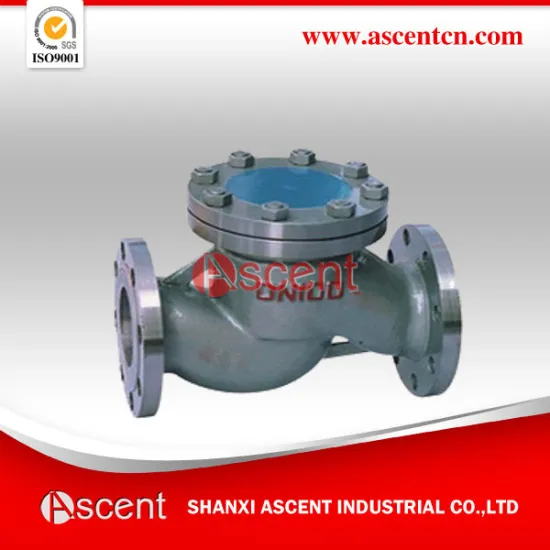 Check Valve 6 Inch