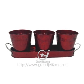 4 Piece Herb Garden Pot Set with Tray