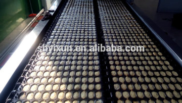 YX400 400-500 KG per hour tunnel oven cake machine cake making machine