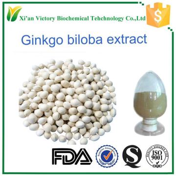 Fine powder ginkgo biloba oil extract