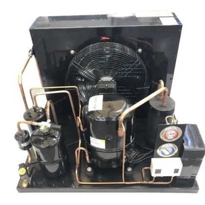 R404a TAG2522Z 5HP Air-Cooled Tecumseh Compressor for Cold Room Condensing Units